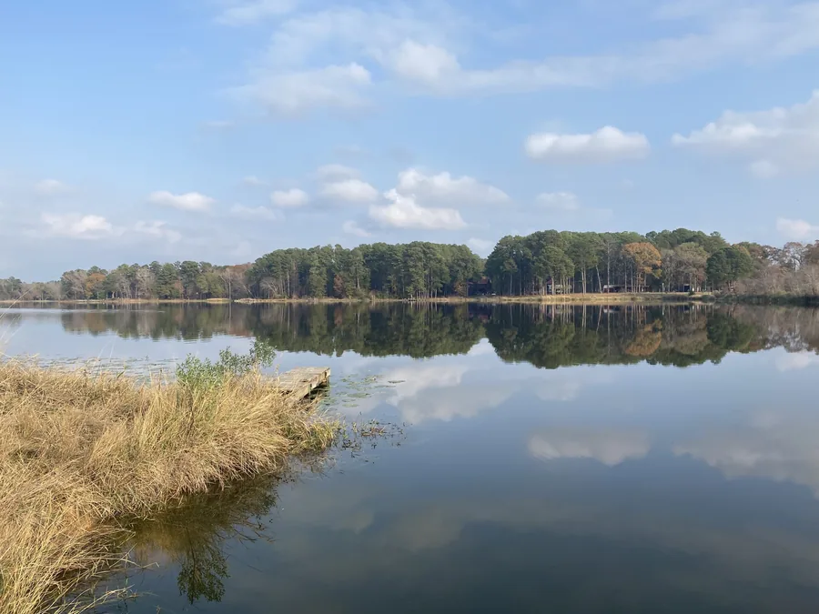 A calm private lake at Eastdale Acres on a clear day, pine trees reflected in the still water beside a small bank dock