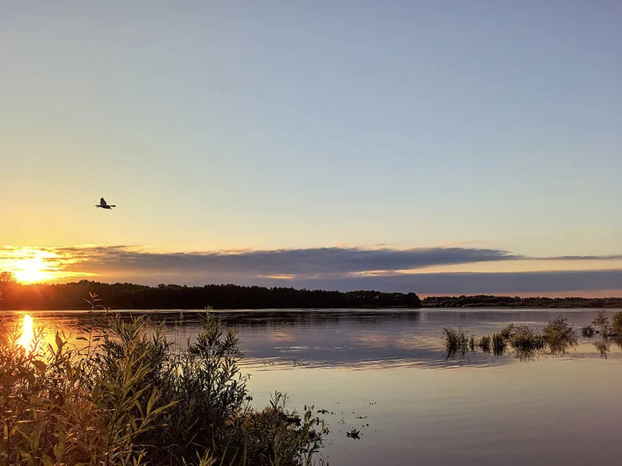Calm water and wooded shoreline along Lake Palestine at Eastdale Acres